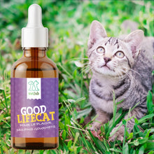 Charger l'image dans la galerie, HUILE CBD CHAT VETLAB
