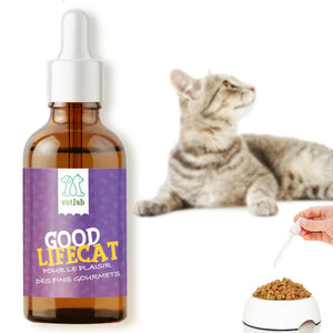 HUILE CBD CHAT VETLAB