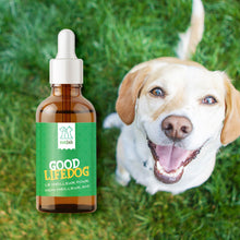 Charger l&#39;image dans la galerie, HUILE CBD CHIEN GOOD LIFEDOG 
