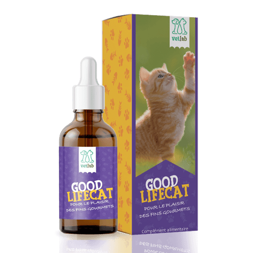HUILE CBD ANIMAUX VETLAB