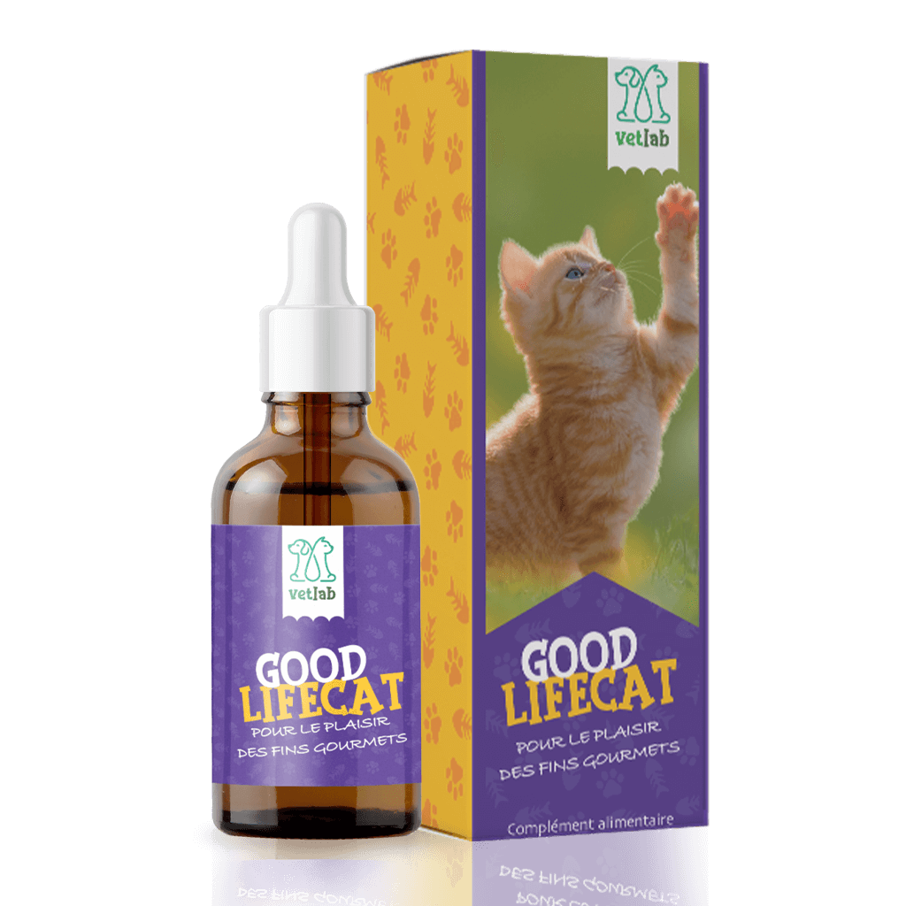 HUILE CBD ANIMAUX VETLAB