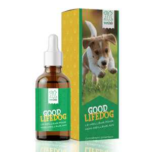 HUILE CBD ANIMAUX GOOD LIFEDOG
