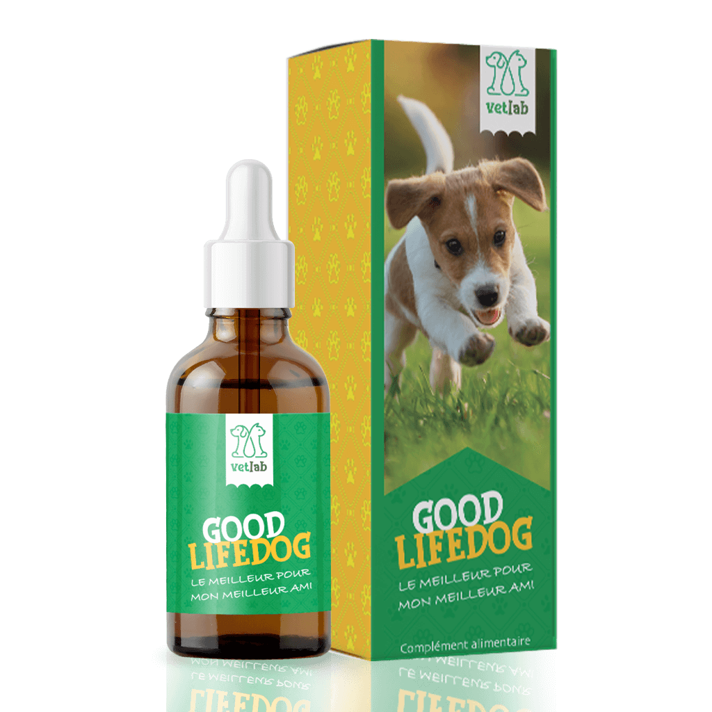 HUILE CBD ANIMAUX GOOD LIFEDOG